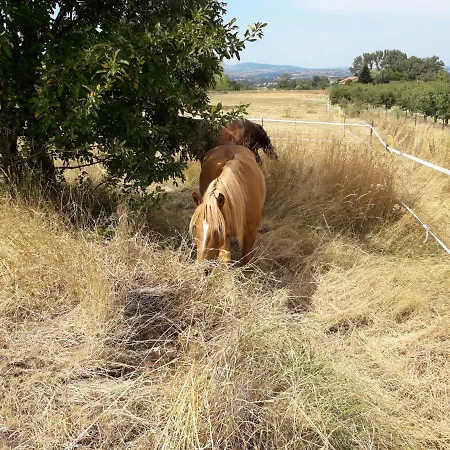 Oda ve Kahvaltı Ferme De La Combe Saint-Jeure-d'Ay