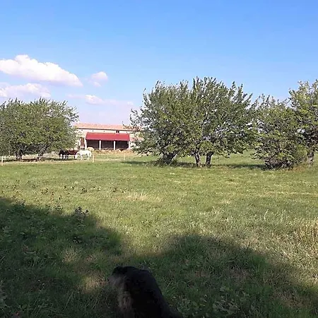 לינה וארוחת בוקר Ferme De La Combe Saint-Jeure-d'Ay
