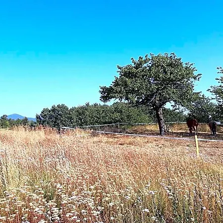 לינה וארוחת בוקר Ferme De La Combe