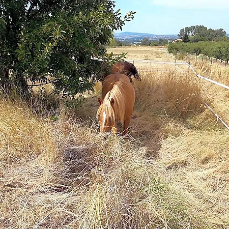 Panzió Ferme De La Combe 3*